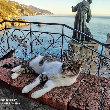 La Rosa Dei Venti Casa de hóspedes 4*