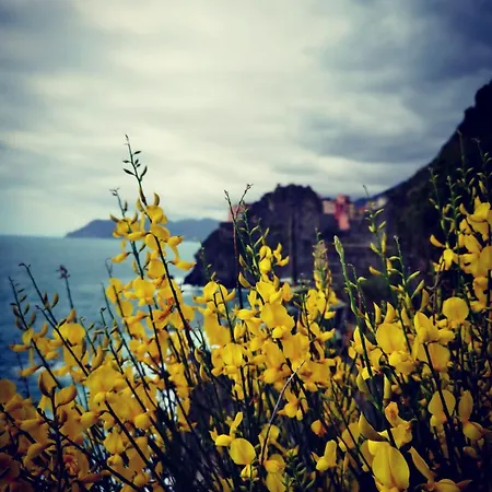 La Rosa Dei Venti Pensión Monterosso al Mare