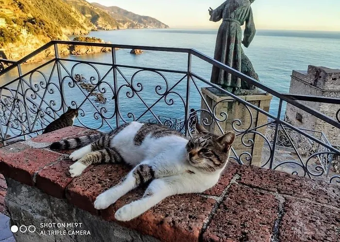 La Rosa Dei Venti Πανσιόν 4*