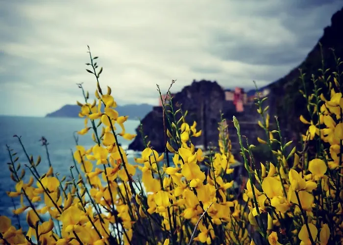 La Rosa Dei Venti Konukevi Monterosso al Mare
